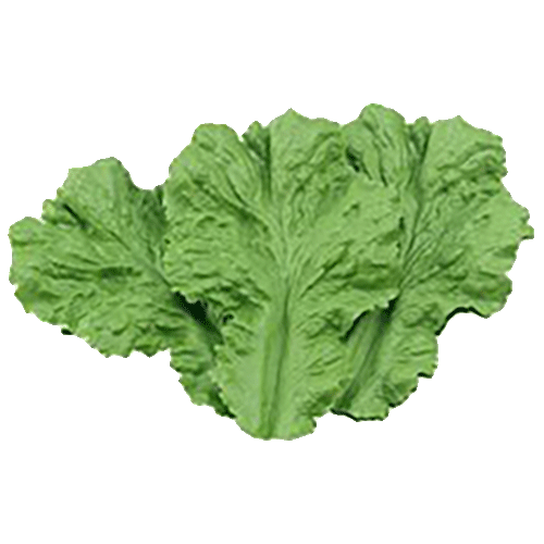 Decoratiegroen