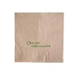 Wegwerp servetten - 2000 stuks - 33 x 33 CM - GH031