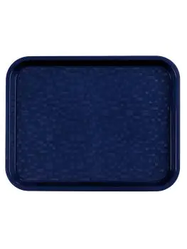 Dienblad - H 2.3 x 45.5 x 35.5 CM - 0.45 KG - Polypropyleen - Blauw - Roltex - 518154