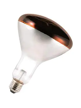 Warmtelamp - 0.1 KG - 220 - 240 V - 250 W - Glas - Rood - 710205