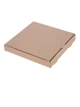 Pizzadozen - Composteerbaar - 100 stuks - H 4.6 x 31.1 x 31.1 CM - Karton - Fiesta Green - DC724