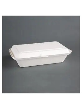 Wegwerp maaltijddozen - 0.7 Liter - 250 stuks - H 6.4 x 24.8 x 16.1 CM - Bagasse - Fiesta Green - DW249