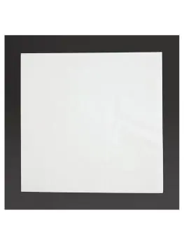 Lunch servetten - 2000 stuks - Wit - 33 x 33 CM - Fiesta - FE219