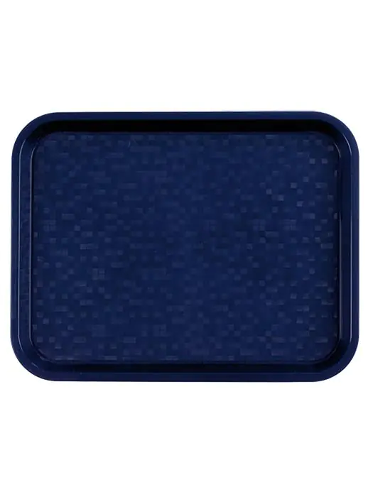 Dienblad - H 2.3 x 45.5 x 35.5 CM - 0.45 KG - Polypropyleen - Blauw - Roltex - 518154 518154 €6.90 Buffetdienbladen