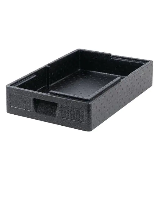 Thermobox - 15 Liter - H 12.5 x 60 x 40 CM - Polypropyleen - Thermo Future - DL992 DL992 €35.10 Thermobox