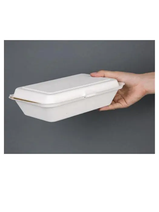 Wegwerp maaltijddozen - 0.7 Liter - 250 stuks - H 6.4 x 24.8 x 16.1 CM - Bagasse - Fiesta Green - DW249 DW249 €67.70 Wegwerp verpakkingen