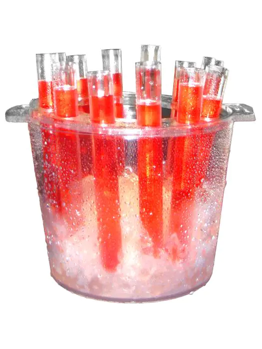 Shot buisjes - 12 Stuks - Met emmer - Bar Professional - TTB0012 TTB0012 €21.00 Glasservies