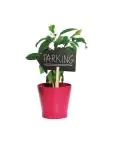 Krijtbord - Pijl - H 67 x 50 x 2 CM - Polypropyleen - Securit - CK325 CK325 €24.49 Presentatie