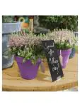 Reserveprikkers krijtbordlabels - 10 stuks - H 6 x 4 x 1.3 CM - Securit - CL312 CL312 €13.59 Overige