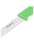 Tomatenmes - Groen - H 1.5 x 1.8 x 20.5 CM - RVS - Hygiplas - CF898 CF898 €3.59 Keukenmessen