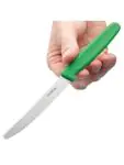 Tomatenmes - Groen - H 1.5 x 1.8 x 20.5 CM - RVS - Hygiplas - CF898 CF898 €3.59 Keukenmessen