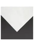 Lunch servetten - 2000 stuks - Wit - 33 x 33 CM - Fiesta - FE227 FE227 €48.69 Papier