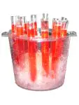 Shot buisjes - 12 Stuks - Met emmer - Bar Professional - TTB0012 TTB0012 €21.00 Glasservies