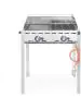 Green Fire met 2 Branders - 74 X 61.2 CM - Hendi - 149508