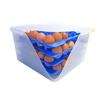 Eierbewaardoos - H 20 x 32.5 x 35.4 CM - 1.663 KG - Transparant - 19 Liter - -40°C / +90°C - Luchtdicht Afsluitbaar - Araven - 962110