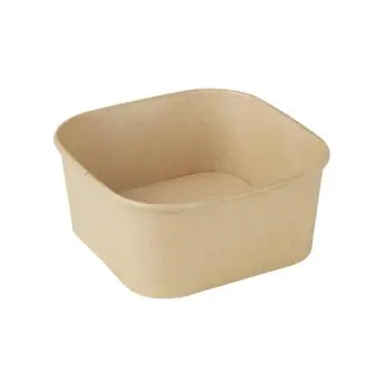 Vierkante Container - 300 Stuks - Papier - Fiesta Recyclable