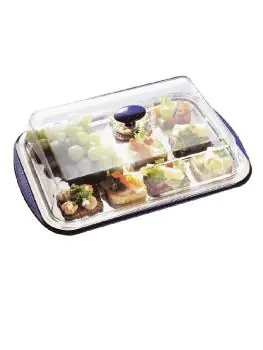 Serveerstaal - Gekoeld - 5-delig - H 14 x 43 x 29 CM - RVS/Kunststof - APS - U265