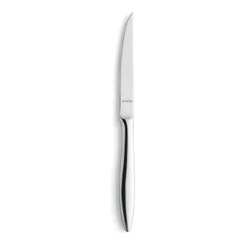 Steakmes - 12 Stuks - Tendence Mirror Hoogglans - 9090 - Amefa