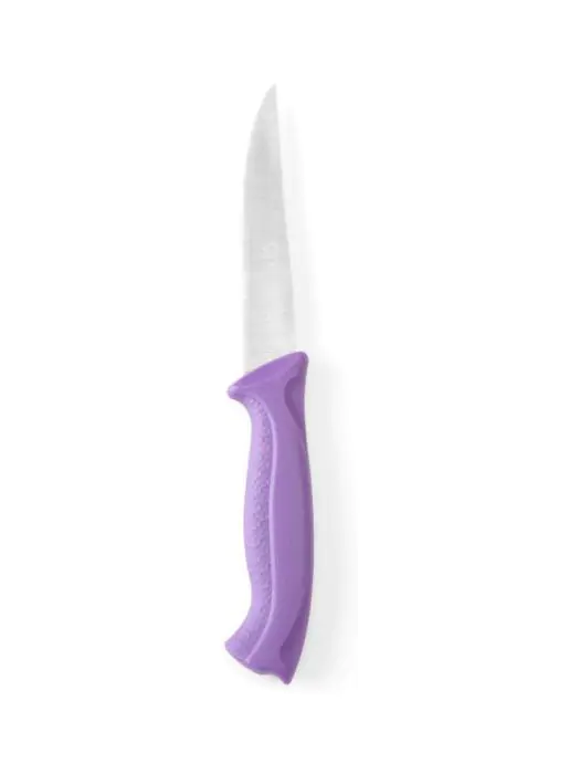 Universeel mes - Polypropyleen RVS - H 4 X 2.5 X 20.5 CM - Hendi - 842171 842171 €2.93 Keukenmessen