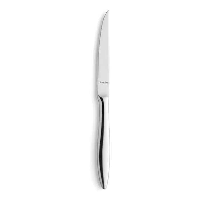 Steakmes - 12 Stuks - Tendence Mirror Hoogglans - 9090 - Amefa 909000B000315 €55.32 Steakmessen