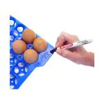 Eierbewaardoos - H 20 x 32.5 x 35.4 CM - 1.663 KG - Transparant - 19 Liter - -40°C / +90°C - Luchtdicht Afsluitbaar - Araven - 962110 E962110 €26.00 Voedselbakken