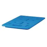 Koelelement - 1/1 GN - H 3 x 53 x 32.5 CM - Polyethyleen - Cambro - DB152 DB152 €62.08 IJsartikelen