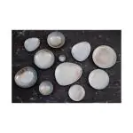 Bord - 4 stuks - Blauw - Porselein - Ø 27.5 x H 3 CM - Olympia FU170 €92.59 Borden