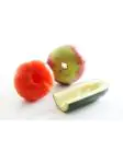 Groenteboor - Polypropyleen RVS - H 1.5 X 2.5 X 22 CM - Hendi - 856086 856086 €5.45 Klein kookgerei