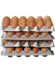 Eierbakken - Ovobox 120 - 4 Stuks - H 4 x 29 x 28.6 CM - Hendi - 870792 H870792 €5.95 Voedselbakken