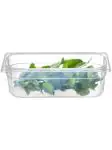 Container - 1/3 GN - 4 Liter - Transparant - H 9.6 x 17 x 32 CM - Hendi - 880227 H880227 €4.75 GN bakken plastic