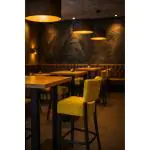 Barkruk Napels - Met Rugleuning - Groen - Velvet - G-Line HW-58232 €79.95 Horeca barkrukken