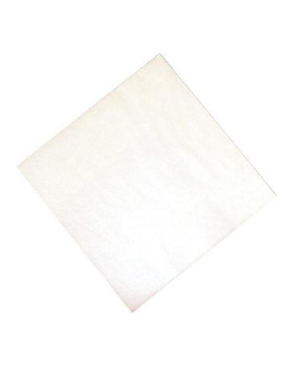 Servetten - 1500 stuks - Wit - 33 x 33 CM - Papier - Fasana - CK874